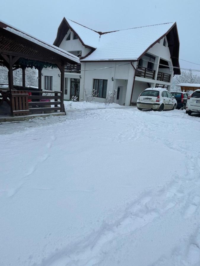Pensiunea Dragos Voda Breb Buitenkant foto