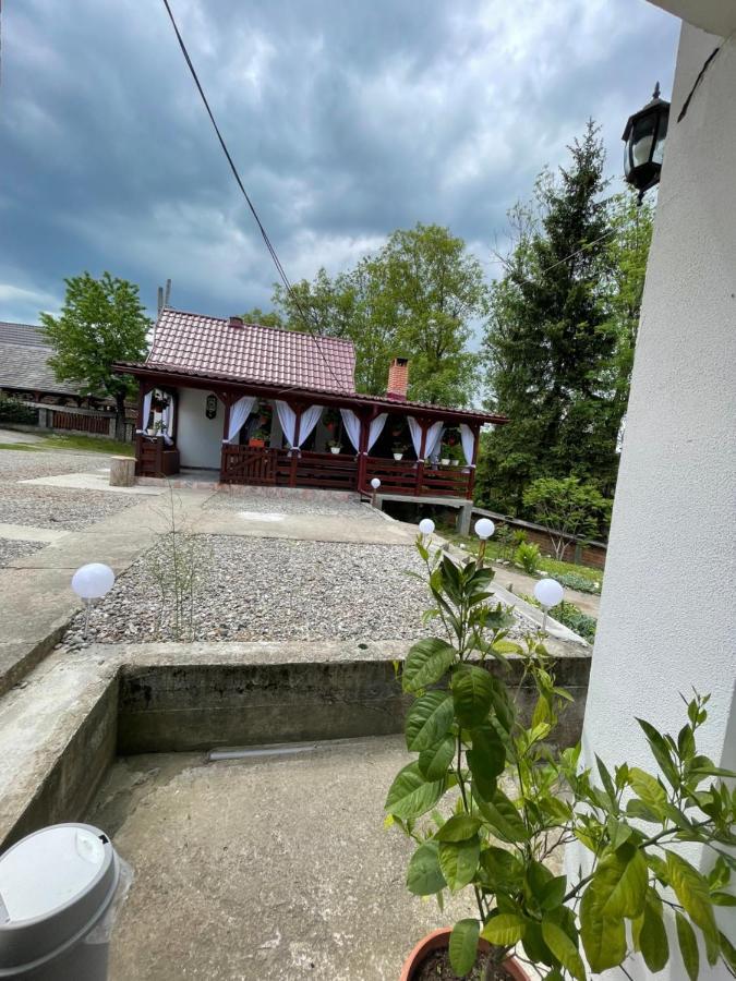 Pensiunea Dragos Voda Breb Buitenkant foto
